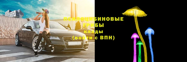 ПСИЛОЦИБИНОВЫЕ ГРИБЫ Абдулино