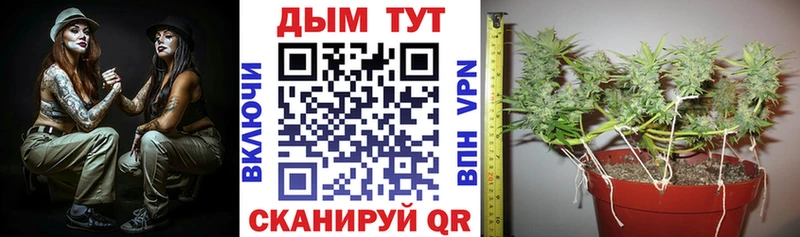 KRAKEN как зайти  Духовщина  Канабис тримм 